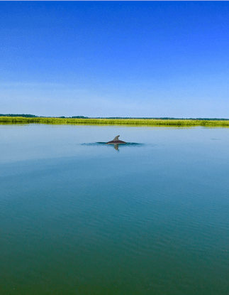 a large body of water